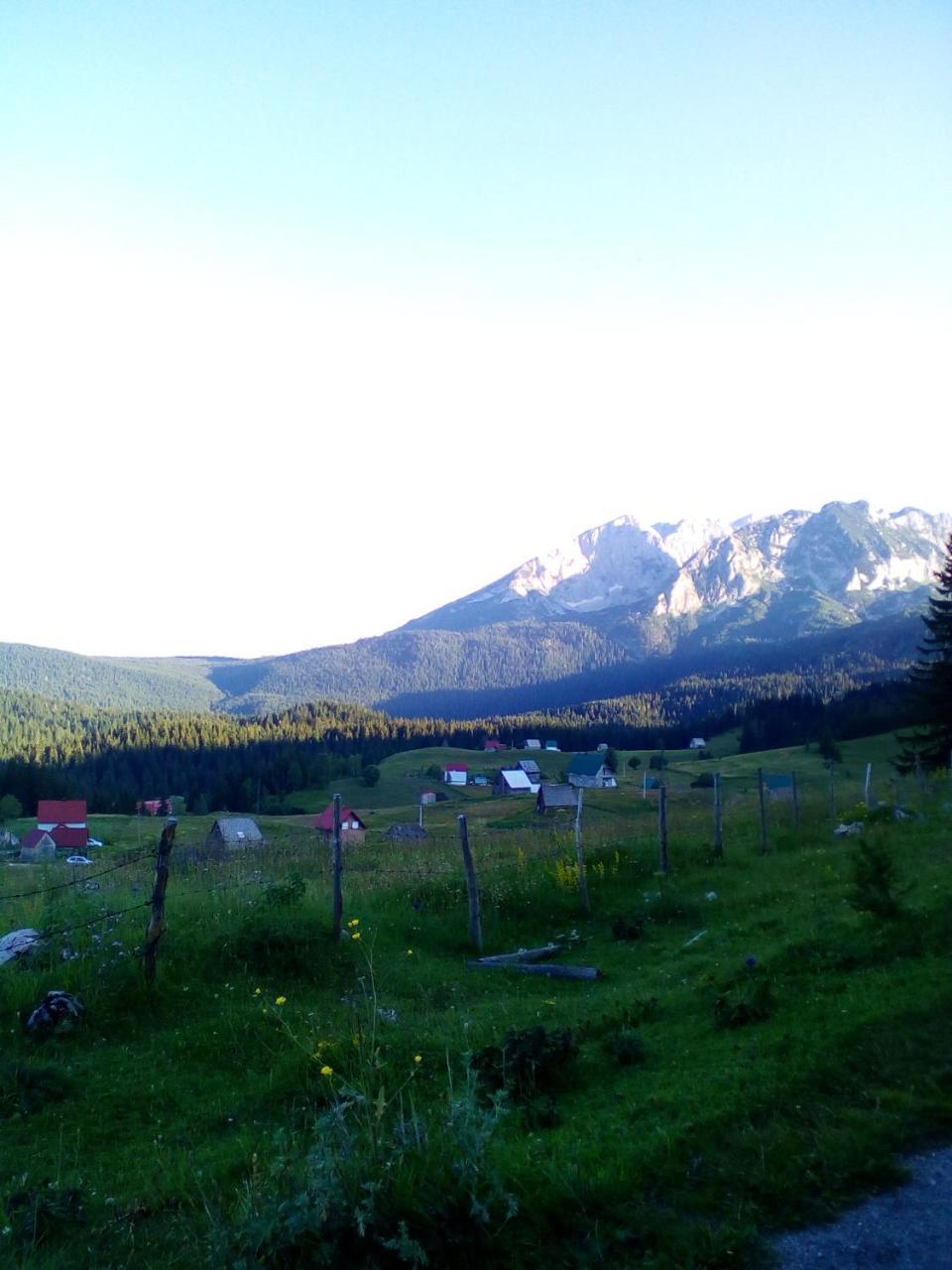 Guesthouse Mijatovic Žabljak エクステリア 写真